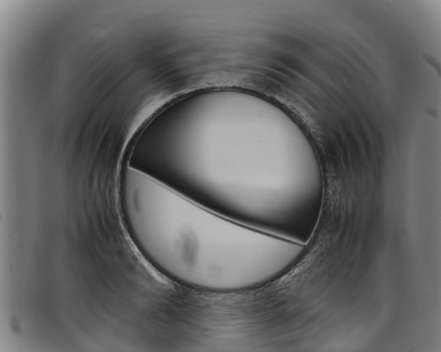 X0000098120894200804040821