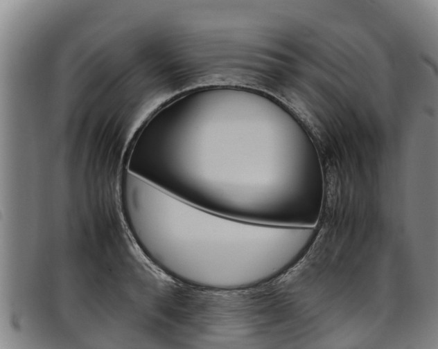 X0000098120896200804040821