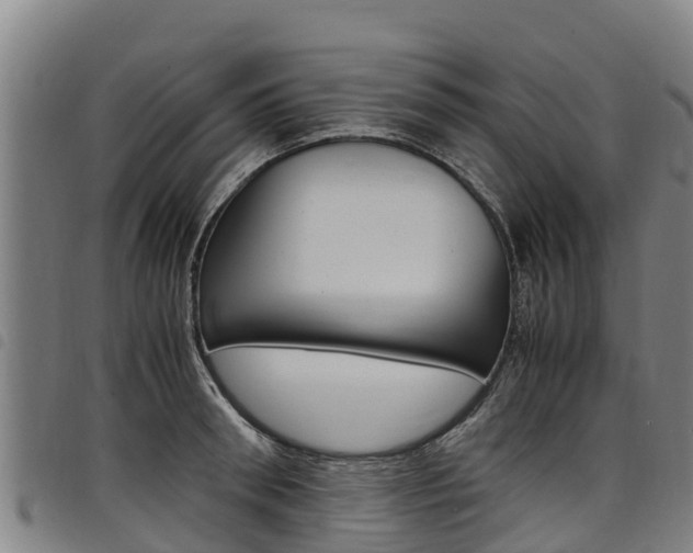 X0000098120898200804040821