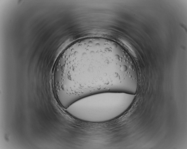 X0000098120899200804040821