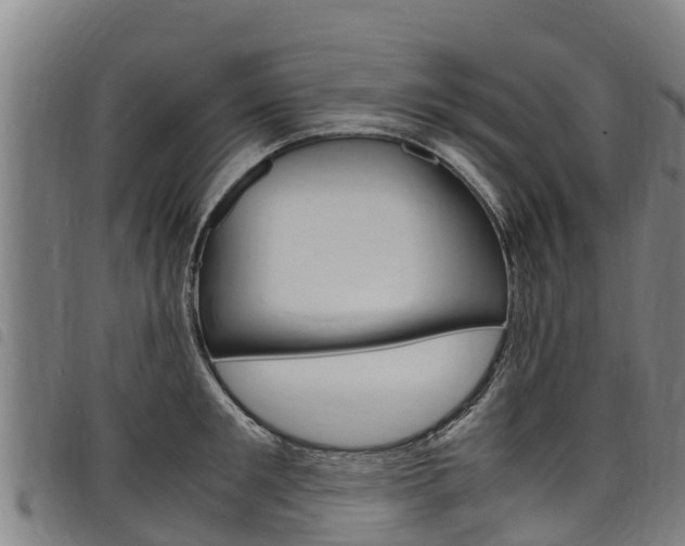 X0000098120901200804040821