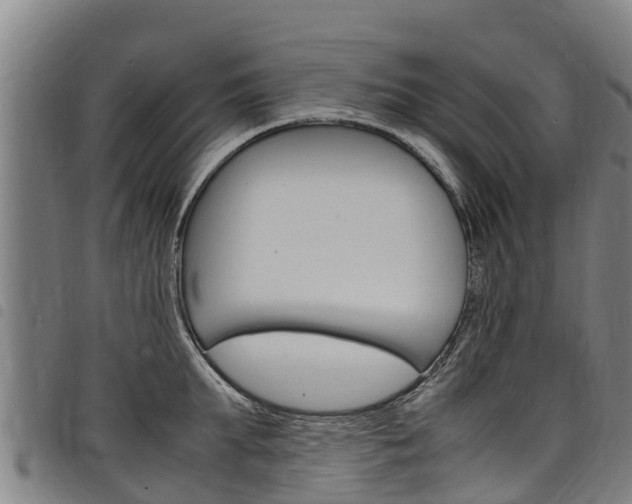X0000098120903200804040821