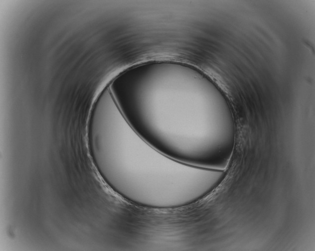 X0000098120904200804040821