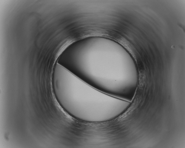 X0000098120906200804040821