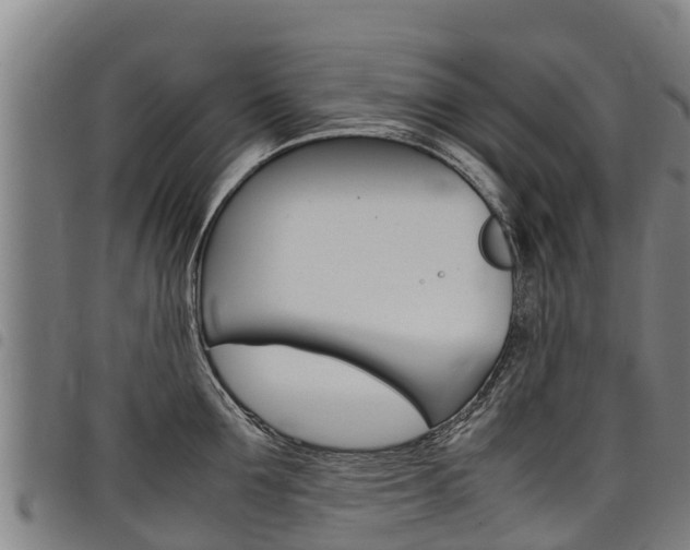 X0000098120907200804040821