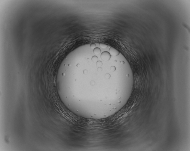 X0000098120913200804040820