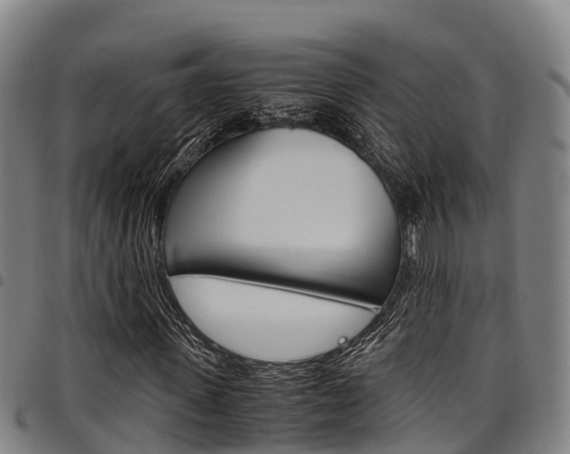 X0000098120915200804040820