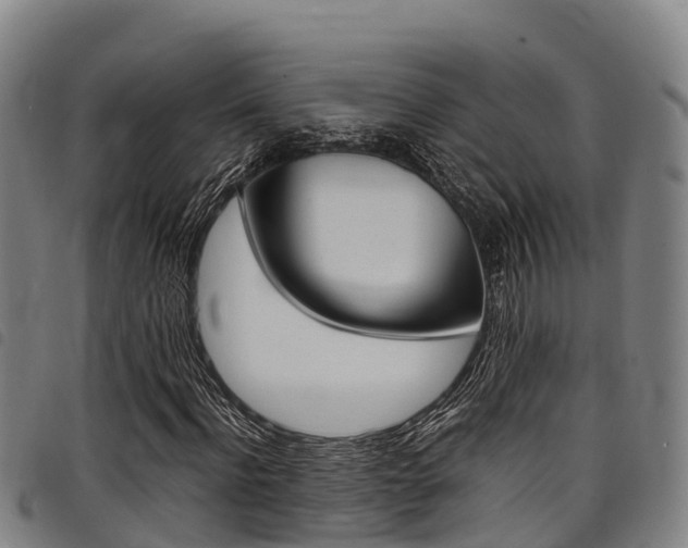X0000098120916200804040820