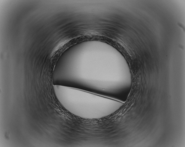 X0000098120919200804040820
