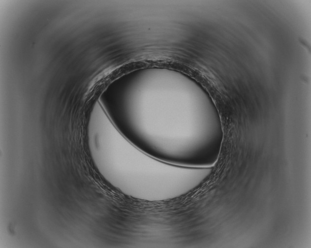 X0000098120920200804040820