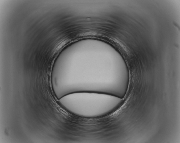 X0000098120921200804040820