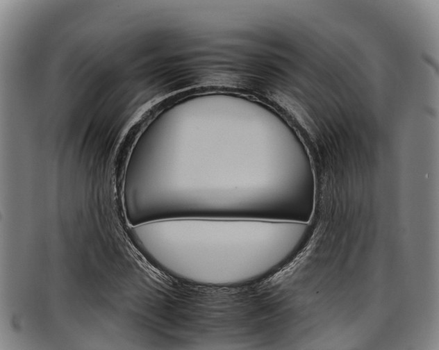 X0000098120923200804040820