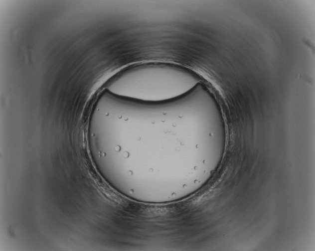X0000098120925200804040820
