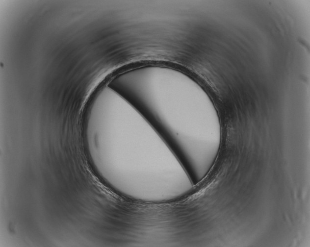 X0000098120926200804040820