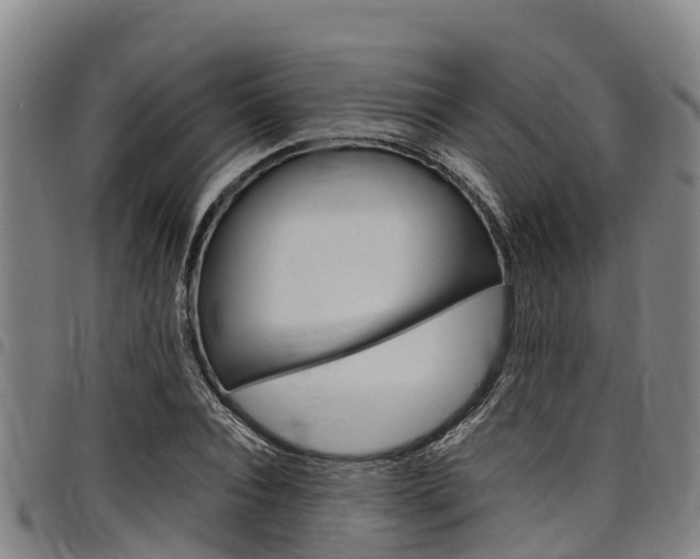 X0000098120928200804040821