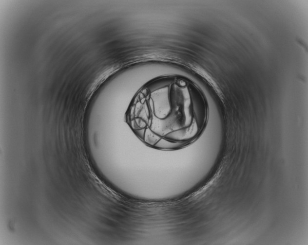 X0000098120930200804040821