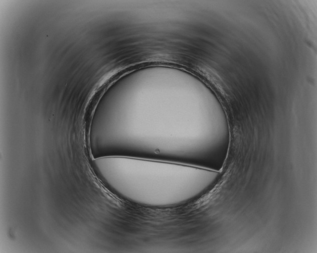 X0000098120931200804040821