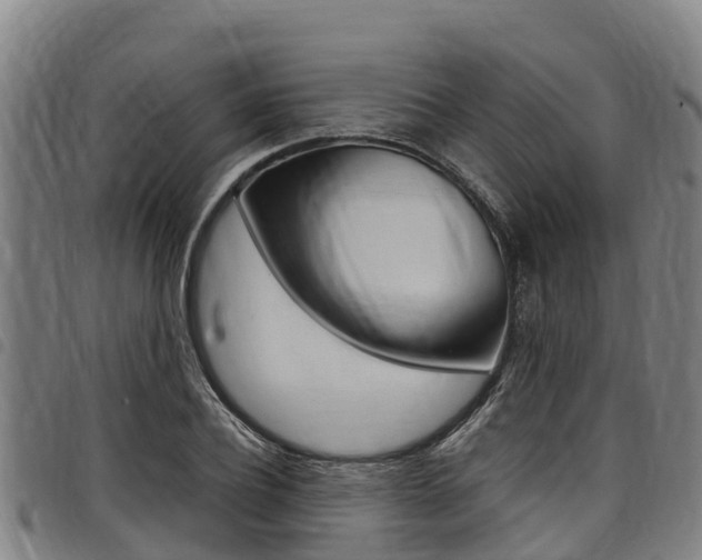 X0000098120932200804040821