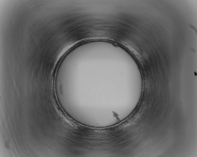 X0000098120933200804040821