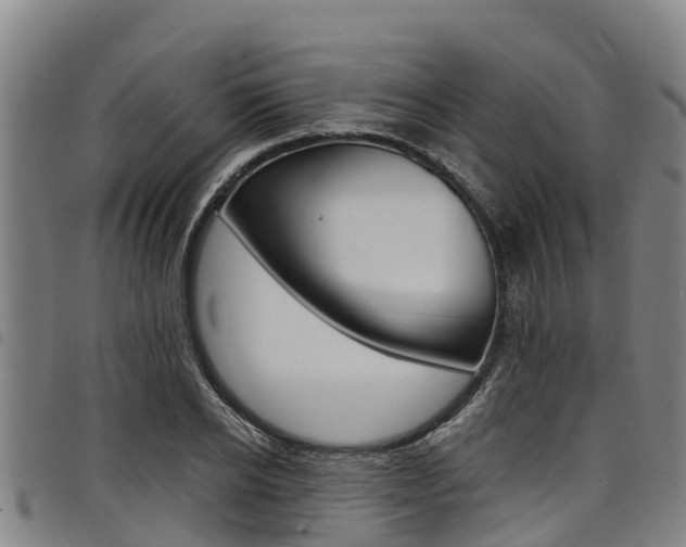 X0000098120934200804040821