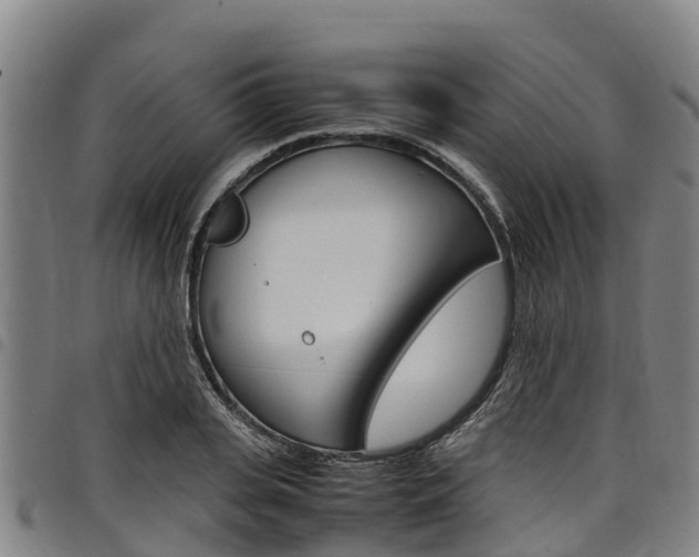 X0000098120935200804040821