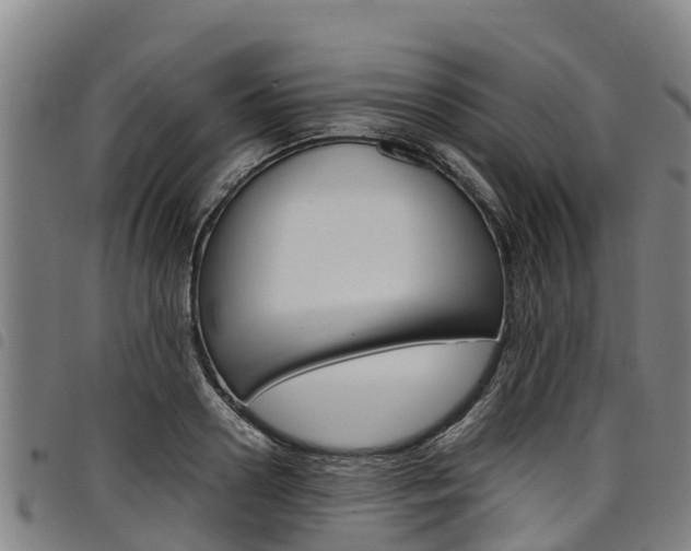 X0000098120938200804040821
