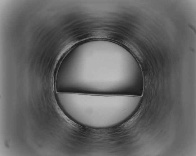 X0000098120939200804040821
