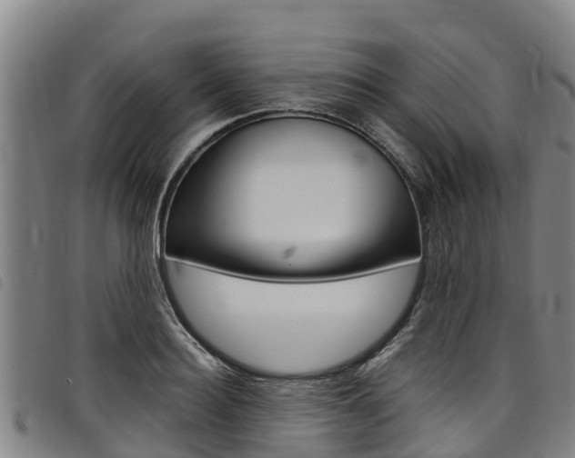 X0000098120940200804040821