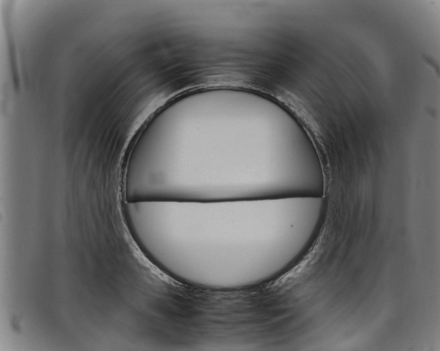 X0000098120941200804040821