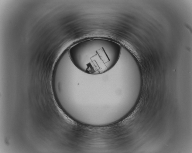 X0000098120942200804040821