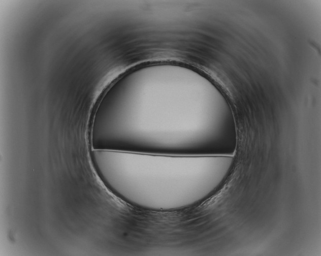 X0000098120943200804040821