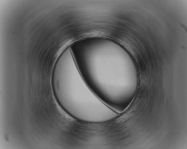 X0000098120946200804040821