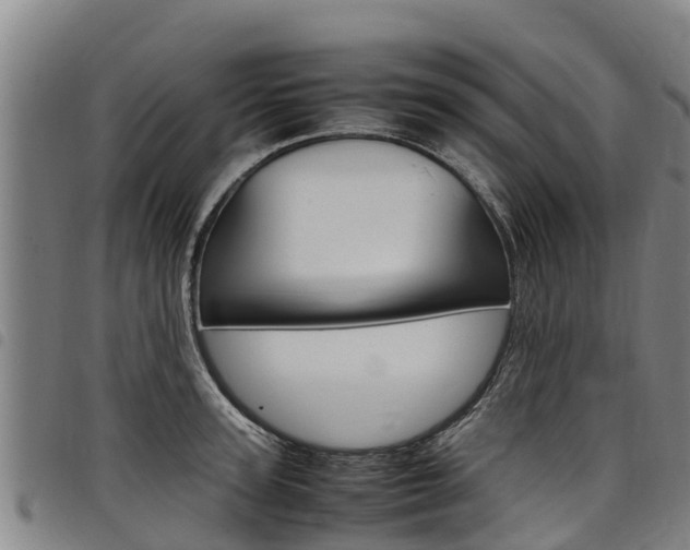 X0000098120947200804040821
