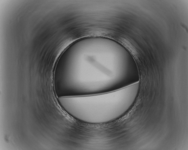 X0000098120948200804040821