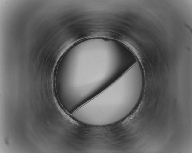 X0000098120949200804040821