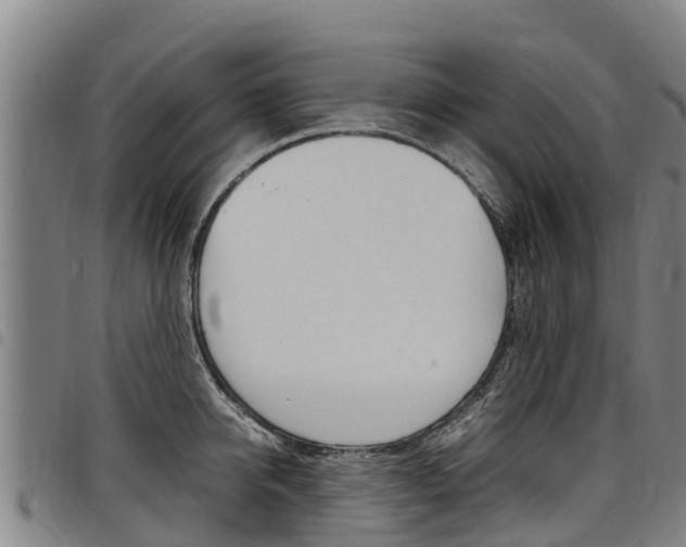 X0000098120950200804040821