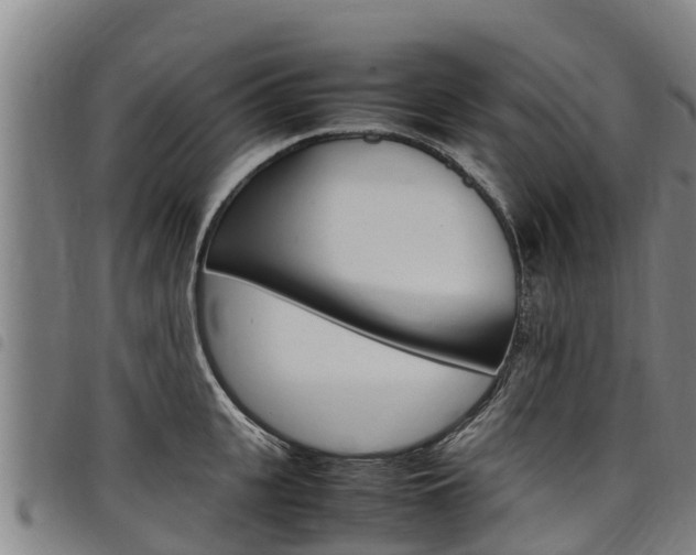 X0000098120951200804040821