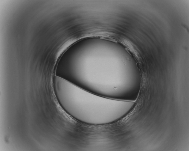 X0000098120952200804040821