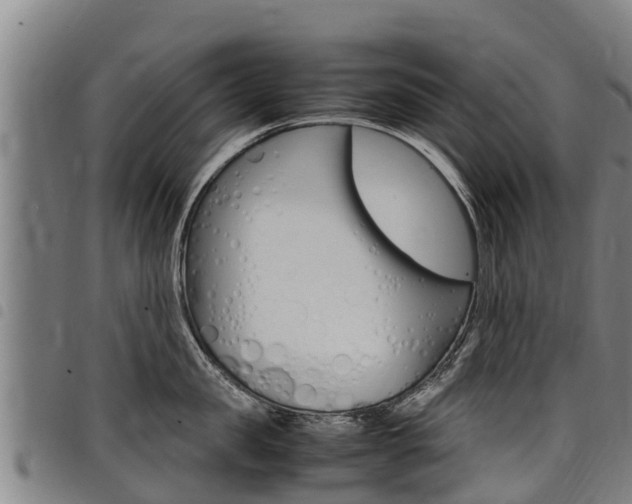 X0000098120957200804040821