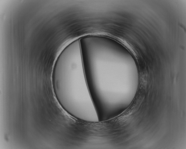 X0000098120959200804040821