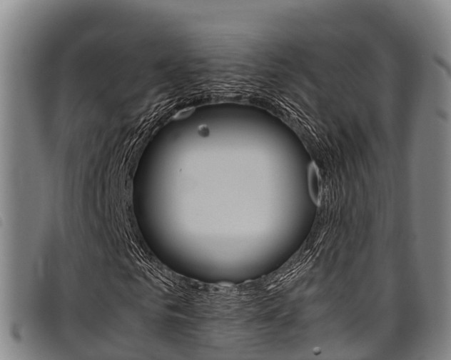 X0000098120961200804040820