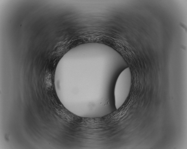 X0000098120962200804040820