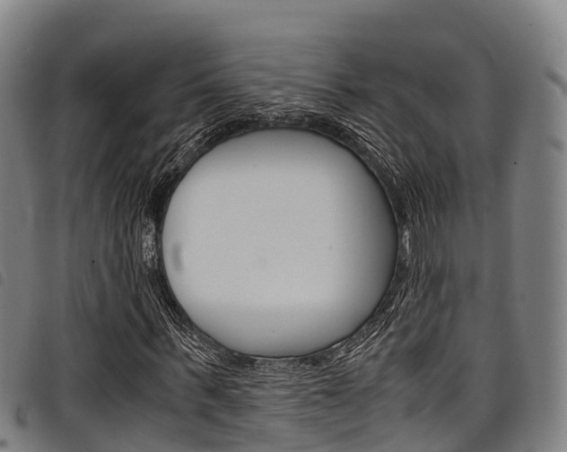 X0000098120963200804040820