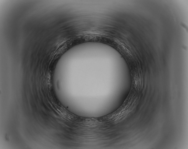 X0000098120964200804040820