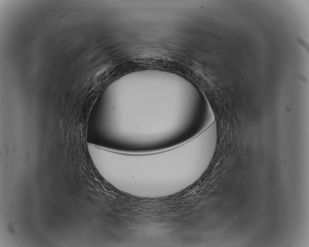 X0000098120965200804040820