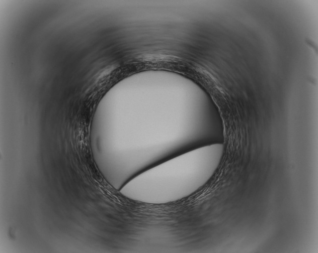X0000098120966200804040820