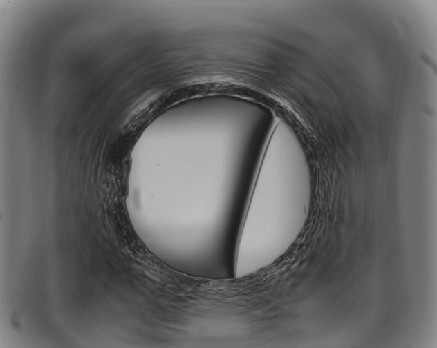 X0000098120967200804040820