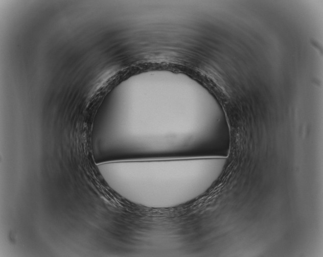 X0000098120968200804040820