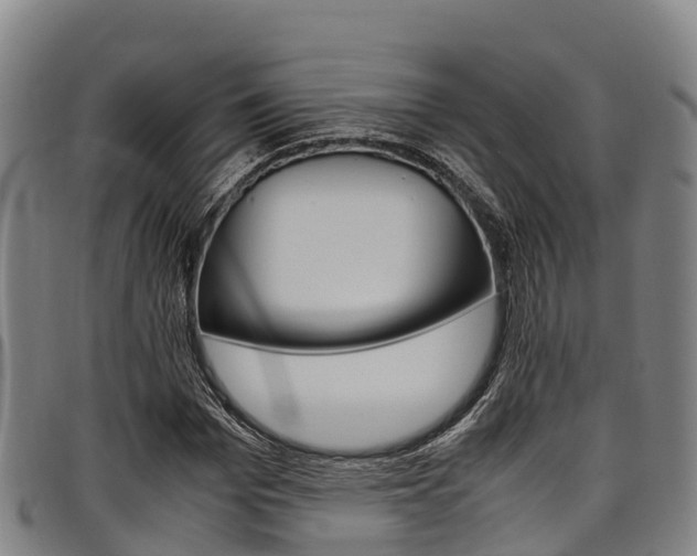 X0000098120969200804040820