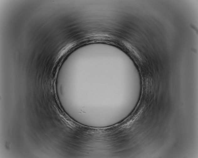 X0000098120970200804040820